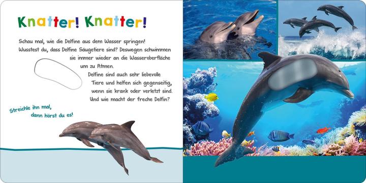 Immagine prodotto Hör mal rein, wer kann das sein? – Im Ozean (Tedesco)