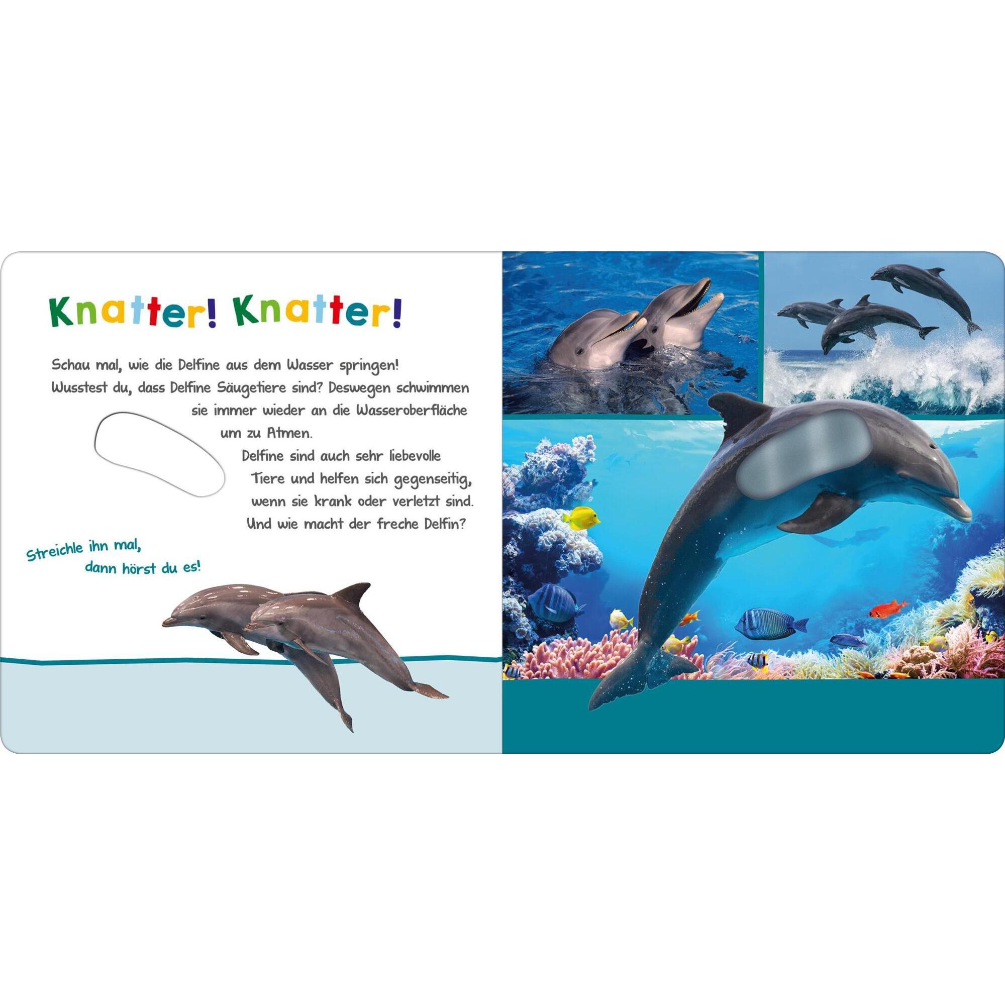 Thumbnail - Ars Edition, Babybücher, Hör mal rein, wer kann das sein? – Im Ozean (Deutsch)