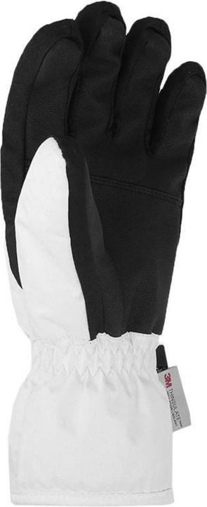 Produktbild 4F Skihandschuhe FNK F106 (XL)