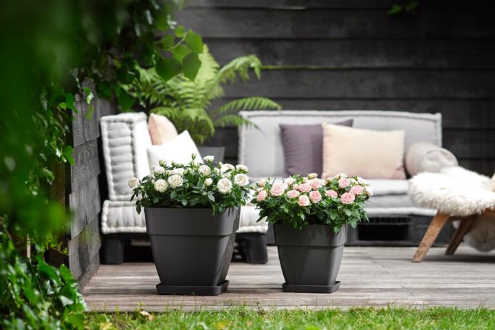 Produktbild Elho Blumentopf (30 x 28.80 x 28.80 cm)