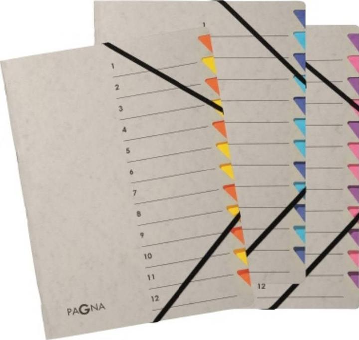 Actual product image Pagna Folder A4 Easy Grey Orange, 12 compartments (A4, 1x)