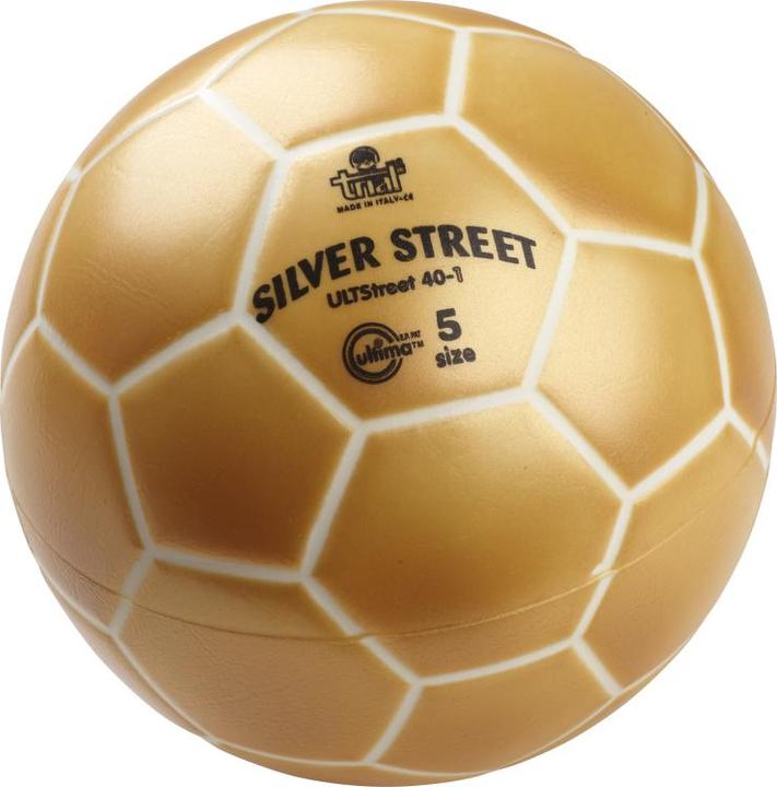 Actual product image Trial Training ball (5)