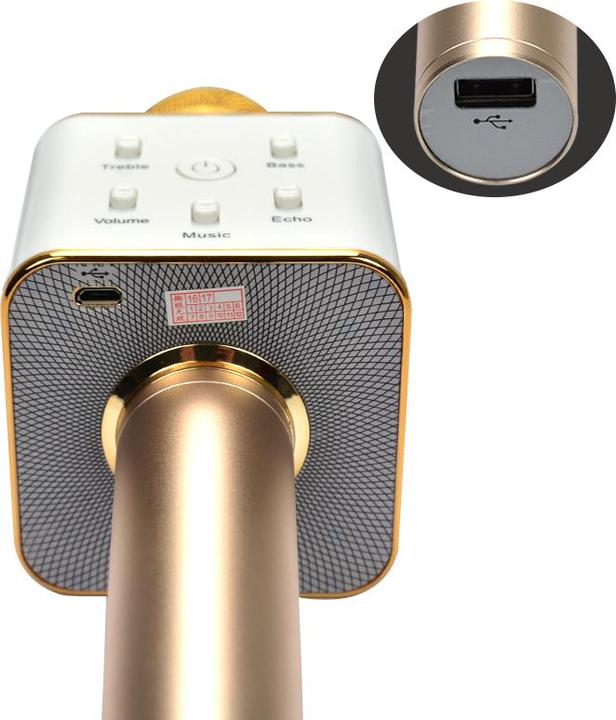 Actual product image JTI KTV karaoke microphone