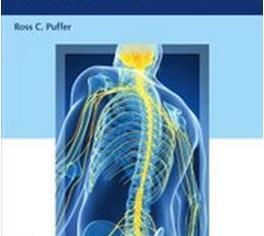Produktbild Neurosurgery Primary Board Review (Englisch, Ross C. Puffer, 2019)