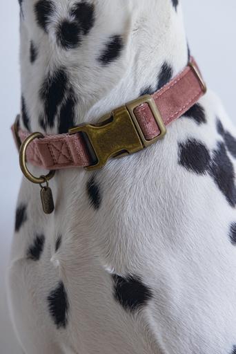 Actual product image Designed by Lotte Velura (Dog, Walks)