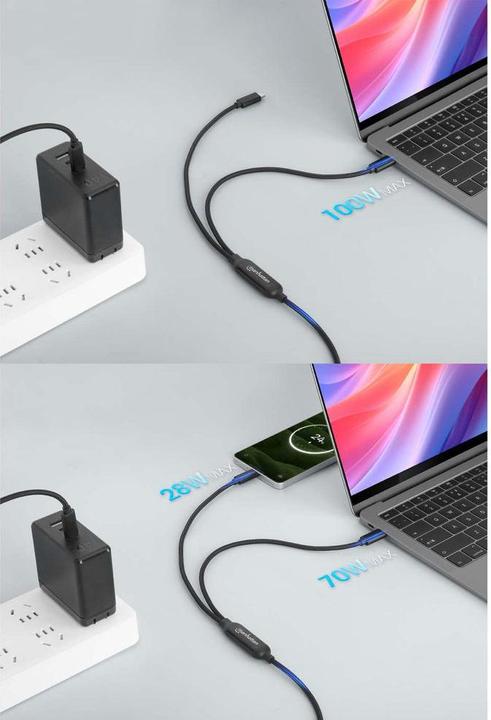 Actual product image Manhattan Dual USB-C Ladekabel 100 W, 2 m (2 m, USB 3.0, 100 W)