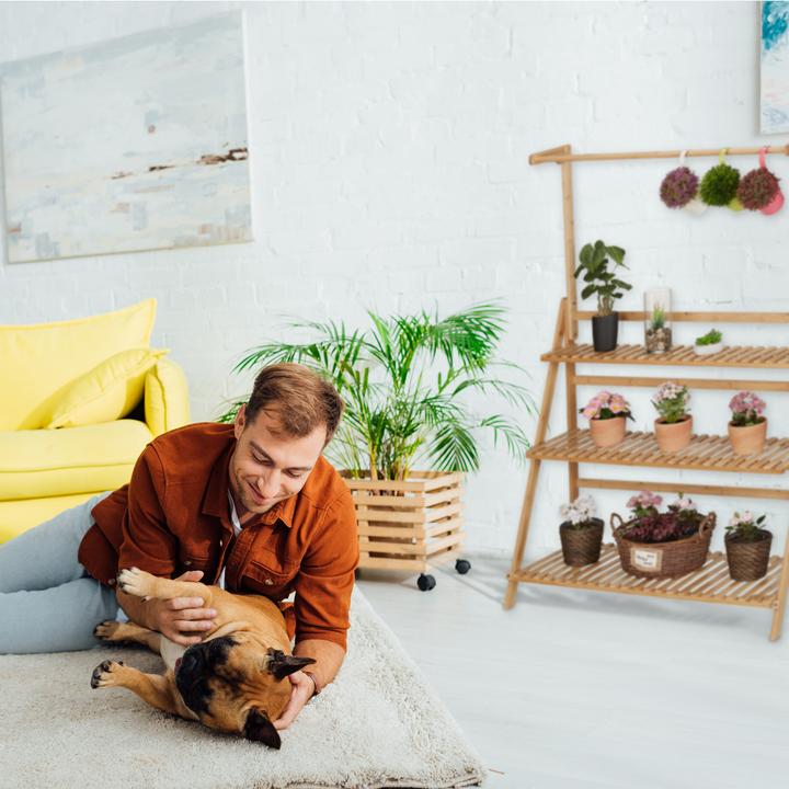 Image du produit Relaxdays Blumenregal
