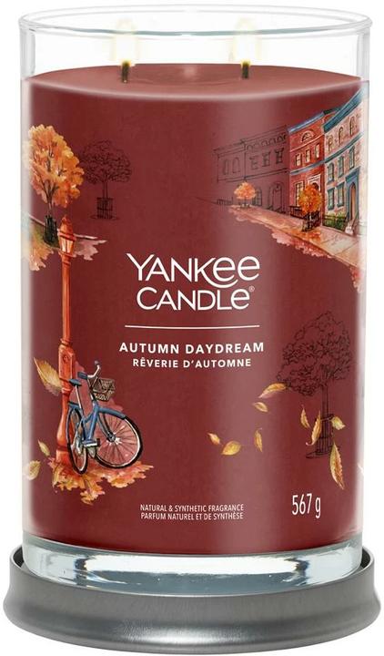 Actual product image Yankee Candle Autumn Daydream (567 g)