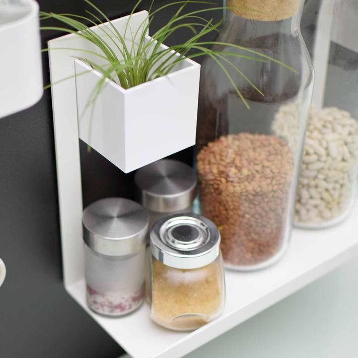 Actual product image Kalamitica The Note (1 x)