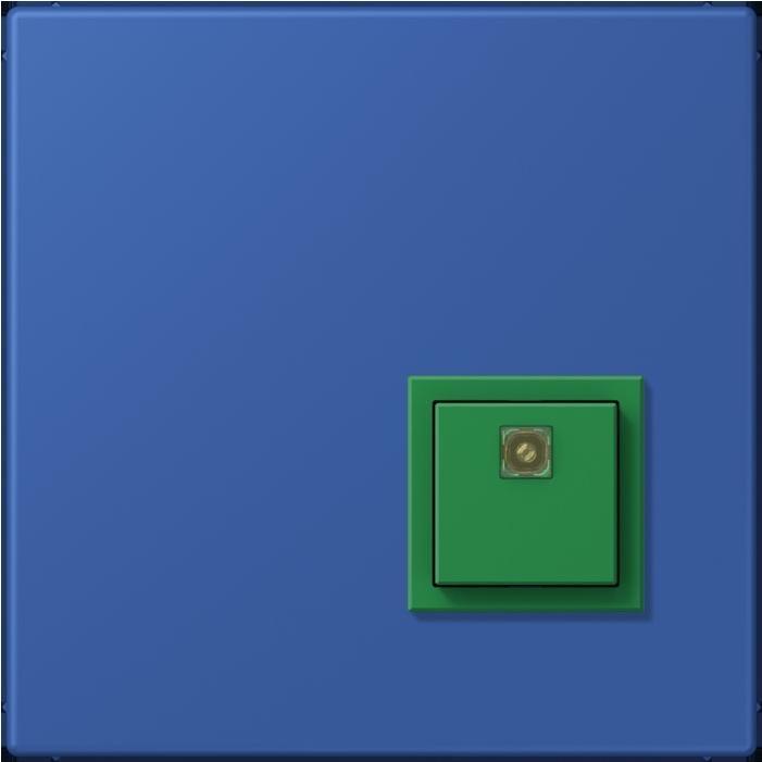 Actual product image JUNG Switch-off button