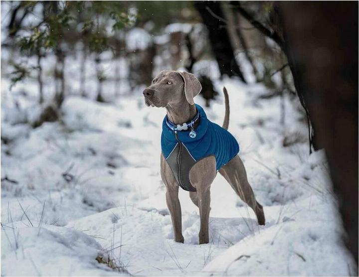 Actual product image Red Dingo Buffer jacket (35, Dog coat)