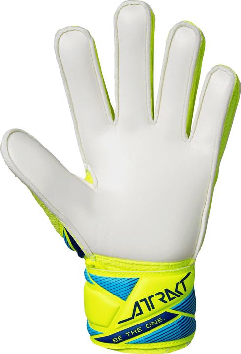 Image du produit Reusch Attrakt Solid (4.5)