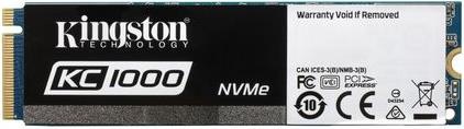 Kingston Kc1000 (480 GB, M.2)