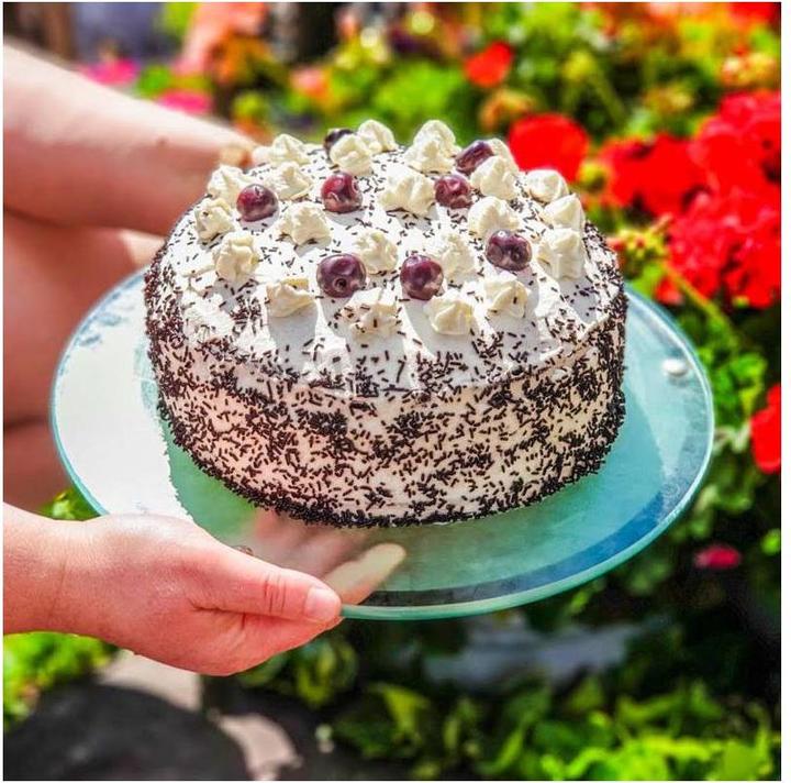 Actual product image ScrapCooking Spachtel