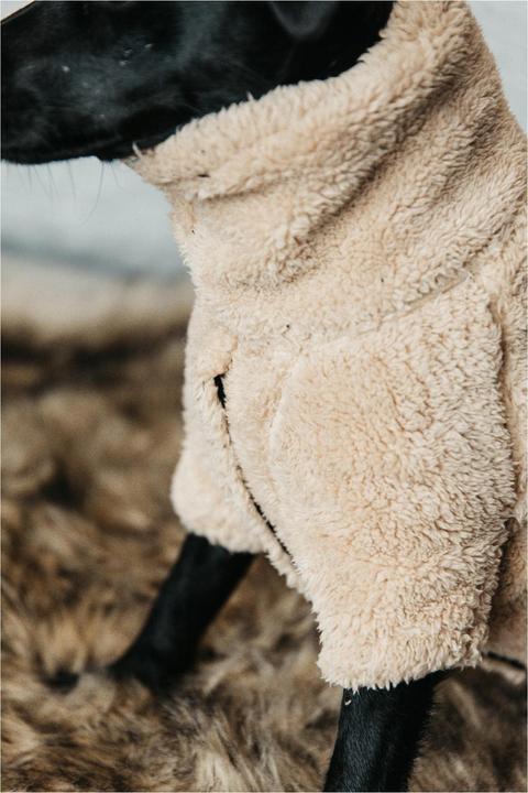 Produktbild Kentucky Dogwear Hunde Pullover Teddy Fleece (XL, Hundepullover)