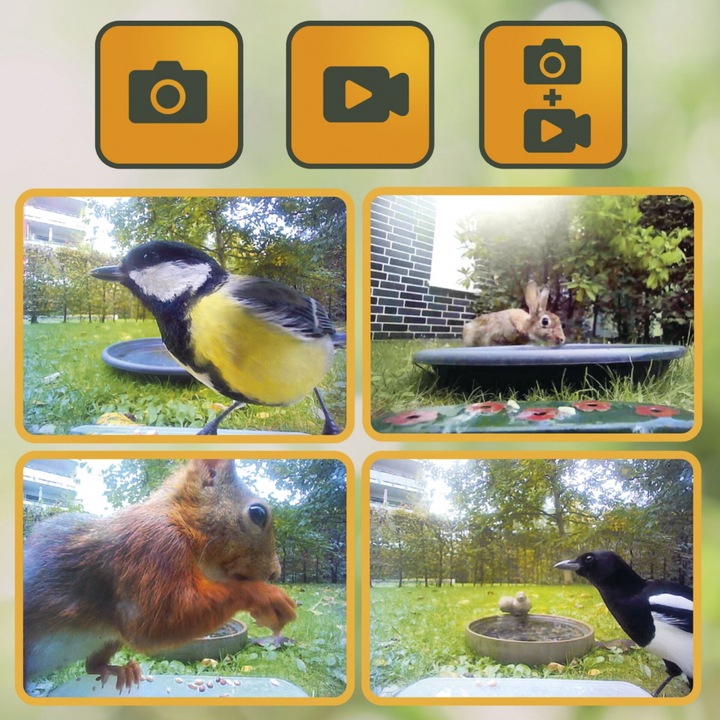 Produktbild Easypix BirdyCam