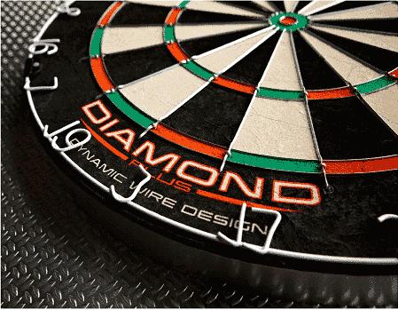 Produktbild Winmau Diamond Plus Bristle Board