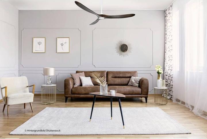 Immagine prodotto CasaFan Eco Genuino (22 dB)
