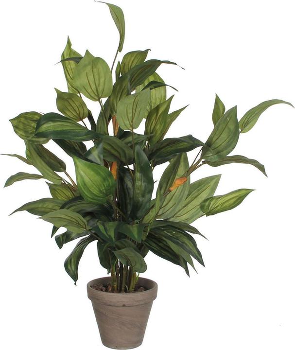 Mica Pianta artificiale hosta hosta Ø 40 H 65 cm verde (65 cm)
