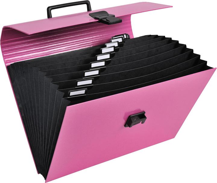 Image du produit Exacompta Fardes à compartiments (A4, 32x)