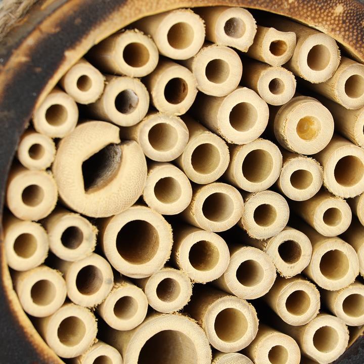 Immagine prodotto Relaxdays Casetta insetti (Api, Vespe scavatrice)