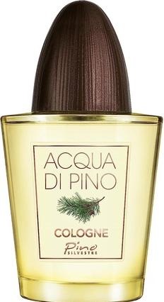 Actual product image Pino Silvestre Acqua Di Pino Fougere by Eau de Cologne Concentree Spray 125 ml (Eau de toilette, 125 ml)