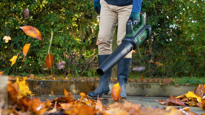Productafbeelding Bosch Home & Garden Geavanceerde bladblazer 36V-750 2.0Ah ( Inclusief batterij en oplader ) (Oplaadbare batterij, Bladblazer)