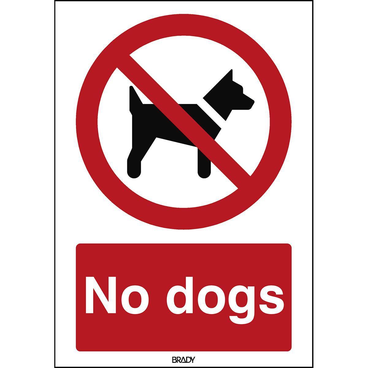 Brady, Sicherheitskennzeichnung, ISO Safety Sign - No dogs
