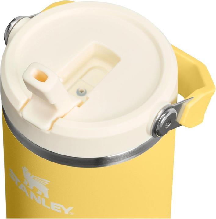 Actual product image Stanley 1913 IceFlow Flip Straw Becher (0.89 l)
