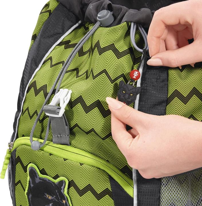 Actual product image Step by Step Wild Cat (13 l)