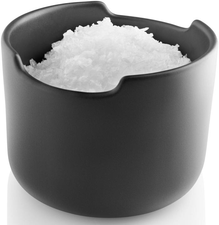 Actual product image Eva Solo Salt tin (0.40 l)