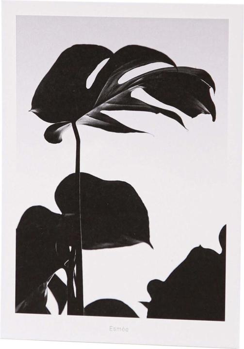 Actual product image Esmée Greeting Card / Postcard