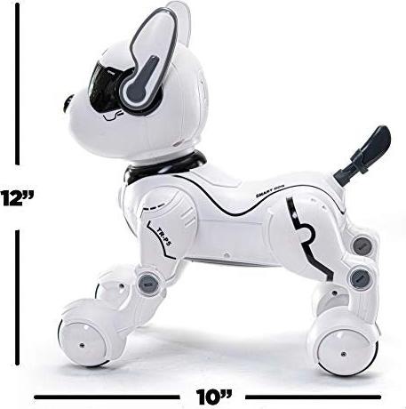 Produktbild Top Race Roboterhund