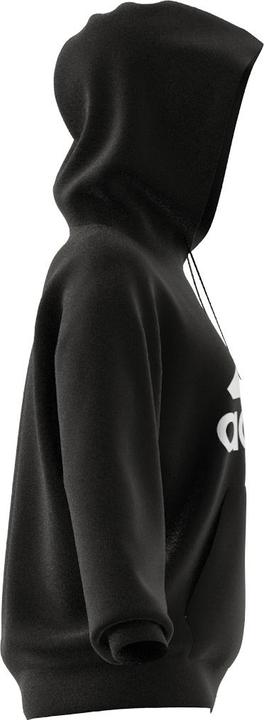 Image du produit Adidas Essentials Big Logo (L)