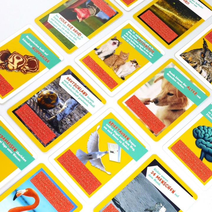 Produktbild Stimmts oder stimmts nicht?  Das einzigartige Wissensquiz für Kinder ab 8 Jahren (Deutsch, 1 Spieler)