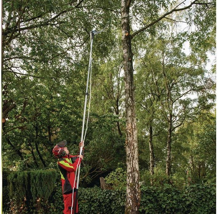 Actual product image Berger Drop hook ArboRapid 5485