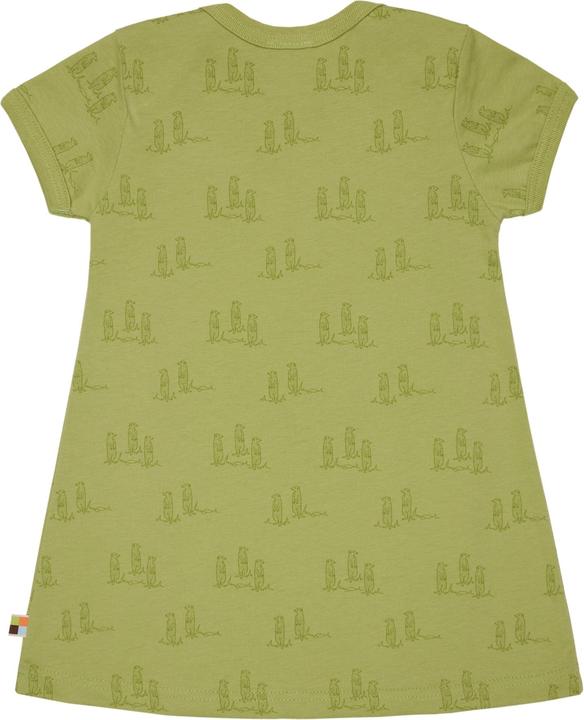 loud + proud Kleid Druck (92)
