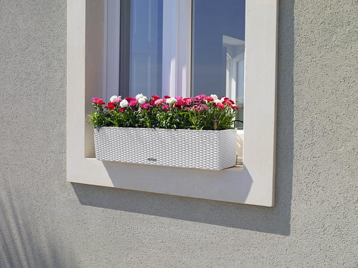Actual product image Lechuza Balconera (79 x 79 x 19 cm)