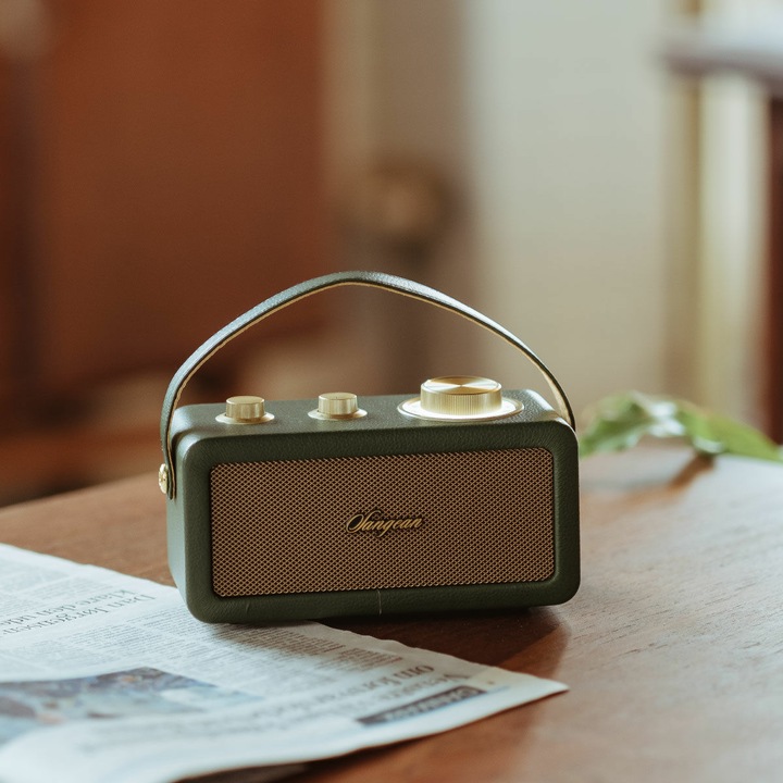 Image du produit Sangean RA-101 Radio à piles FM Bluetooth®, AUX rechargeable Vert, Or (FM, Bluetooth)