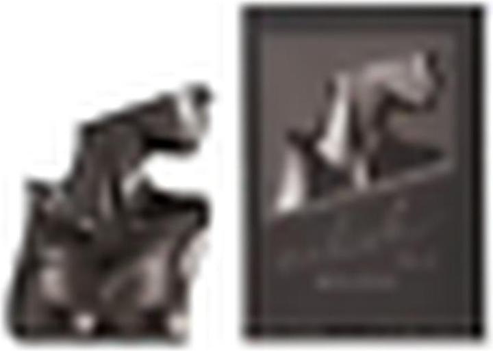 Actual product image Universal Textiles BILLIE EILISH Eilish No.2 EDP spray 50ml (Eau de parfum, 50 ml)