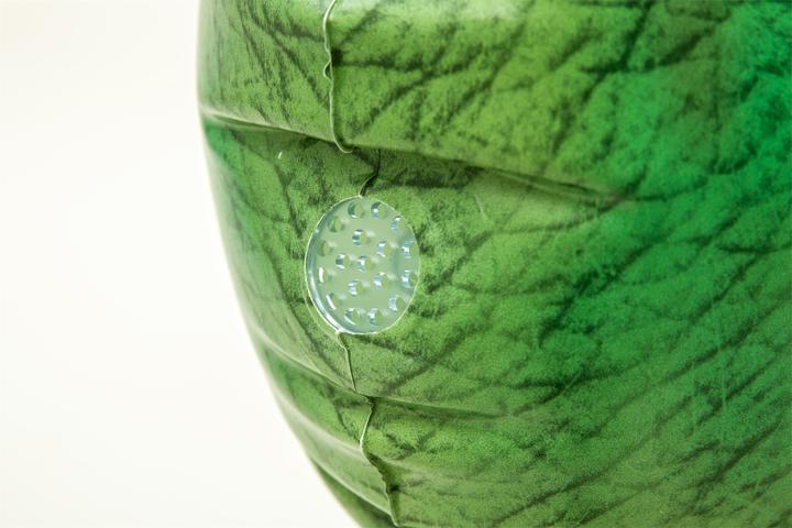 Produktbild Bestway Dino