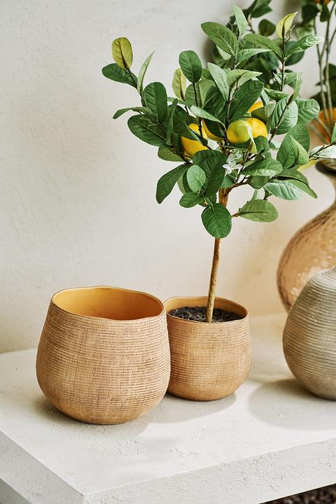 Produktbild edy&liv Synsia (15 x 14 cm)