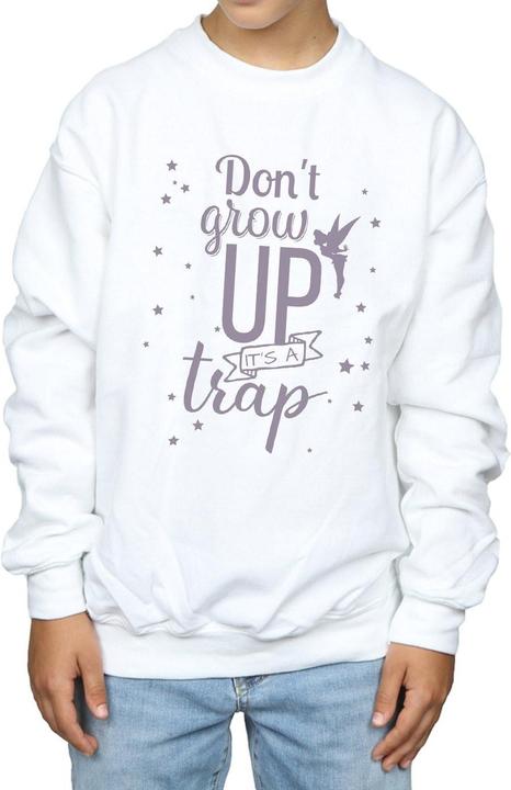 Produktbild Disney Tinker Bell Don't Grow Up Sweatshirt Jungen (140, 146)