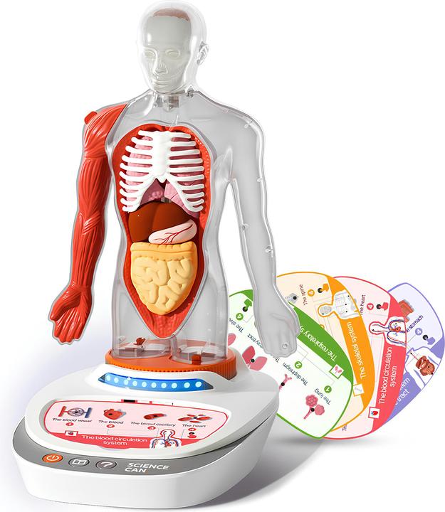 Produktbild Science Can Mein Körper - eine Wissensreise mit Quiz und Sound/ My Body Voice Pedia (Deutsch, Englisch, Französisch, Italienisch, Niederländisch, Spanisch)