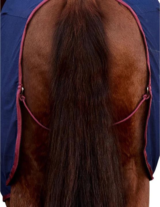 Produktbild Weatherbeeta Standard Trainingsplane Pferde (175 cm)