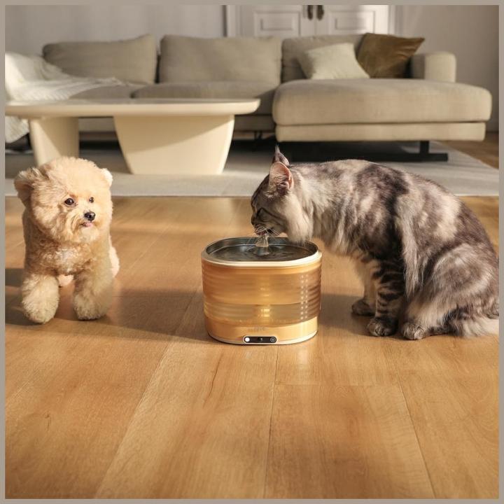 Actual product image Enabot Rola Fountain - Brunnen / Tränke mit Filter für Katzen