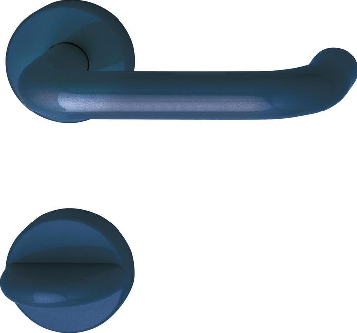Hewi Door fitting 111.23 R | Door handle for interior door on WC rose | steel blue (Door handle)