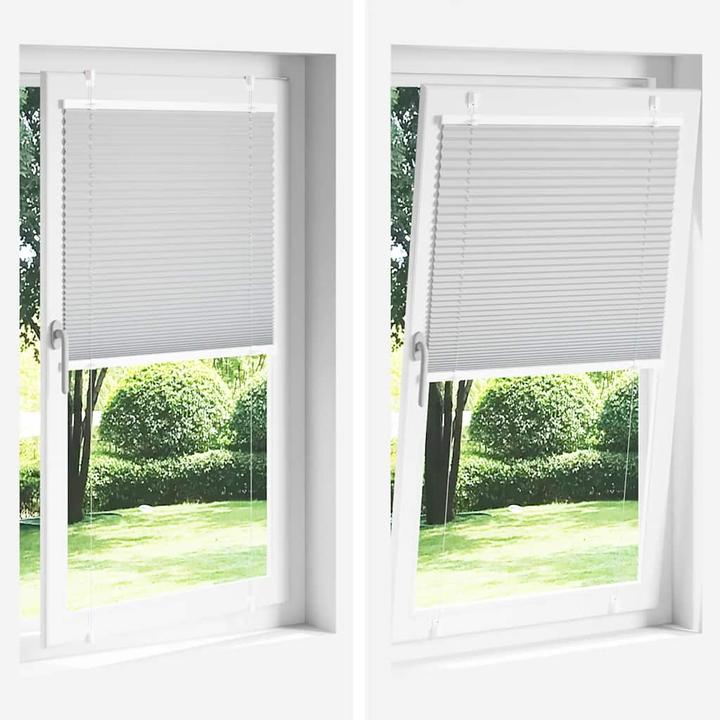 Immagine prodotto vidaXL Plissee (85 x 100 cm)