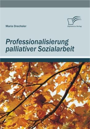Produktbild Professionalisierung palliativer Sozialarbeit (Deutsch, Maria Drechsler, 2010)