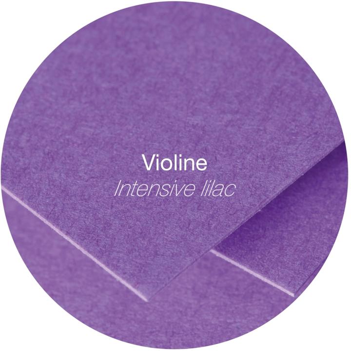 Immagine prodotto Clairefontaine Pollen by double card DL, viola 210 g/mq, dimensioni: 106 x 213 mm, carta a pH neutro, senza acidi (25 pz.)